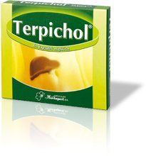 TERPICHOL x 60 kapsułek