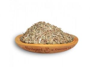 ZIELE Rdest ptasi 50g