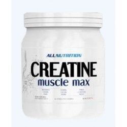 ALLNUTRITION Creatine Muscle Max 500g