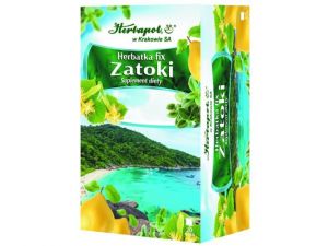 HERBATKA Fix Zatoki 2g x 20 saszetek